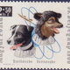 Illustration for article titled Vintage Memorabilia Celebrates The Soviet Unions Cosmonaut Dogs